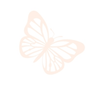 butterfly-img