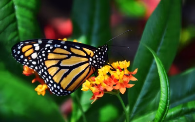 Outpatient Drug Rehab Ventura