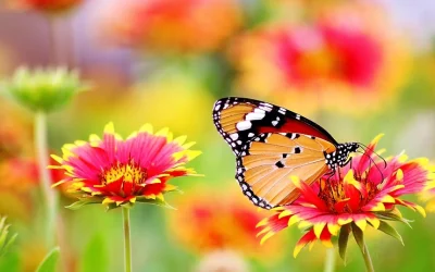 Intensive Outpatient Program Near Me