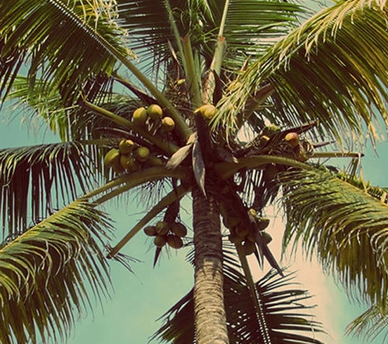 tms-therapy-treatment